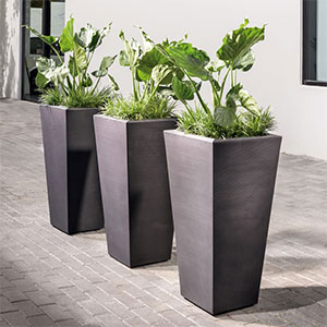 planters